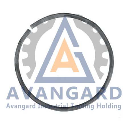 رینگ مهره شفت هیدروکن | خرید رینگ مهره شفت هیدروکن و قیمت رینگ مهره شفت هیدروکن آوانگارد